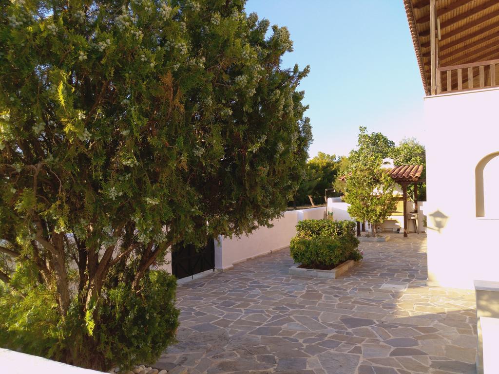 Explore Aegina Island Souvala Exteriér fotografie